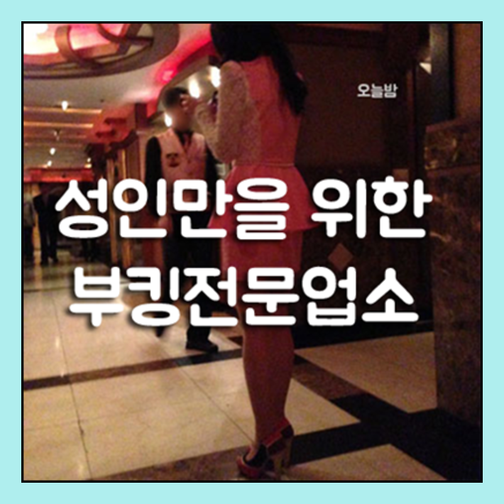신림나이트